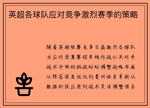英超各球队应对竞争激烈赛季的策略
